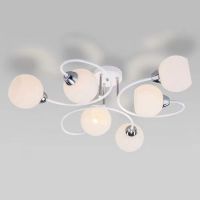 ceiling light