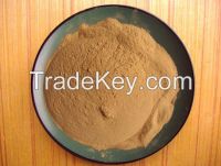 Sodium Lignosulphonate for water reducer From Hong Kong