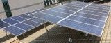 off Grid Solar Phalanx Solar Panel for Power Station From China