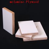 Indoor Furniture (H3008 &PURPLE) Embossed Cherry Melamine MDF Board Particle Board From China