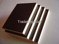 6.5mm popar Commercial Plywood Sheets/Bintangor Veneer Fancy plywood