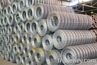 Galvanized Welded Wire Mesh