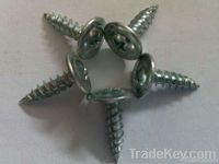 blue white zinc plated-modified truss head self-trapping screw