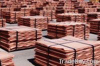 Electrolytic Copper supplier