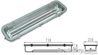 IP65 WFS218 Industrial waterprool fluorescent light fixture for LED