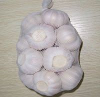 Chinese fresh garlic