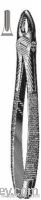 Tooth Extracting Forceps
