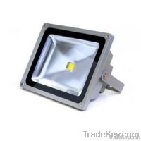 LED Floodlight