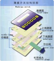 membrane switch