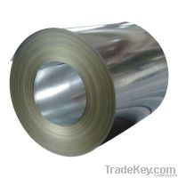 Galvanized Steel Coil