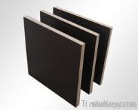 Building Templates/film Faced Plywood/construction