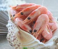 sushi shrimp