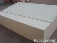 Birch plywood