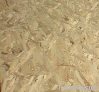 OSB2(ORIENTED STRAND BOARD)