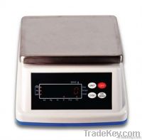 New Type Waterproof Weighing Scale