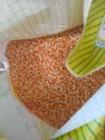 POP CORN - MAIZ PISINGALLO