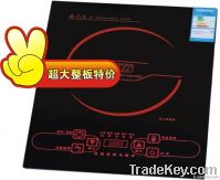 Economical Induction Cooker