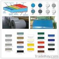 Color Steel Rolled Plate