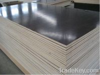 Film Faced Plywood, 1220x2440x15mm
