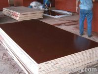 Film Faced Plywood, 1220x2440x21mm
