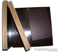 Film Faced Plywood / Shuttering Plywood / Formwork Plywood