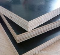 Chinese Film Faced Plywood