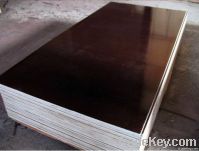 Film Faced Plywood, 1220x2440x18mm