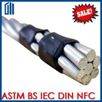 ASTM BS IEC DIN Standard AAC/AAC Conductor/AAC Cable