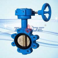 Lug type butterfly valve From China