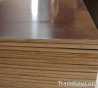 18mm Melamine plywood/hard wood plywood/Fancy plywood price