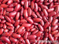 Red Kidney Beans