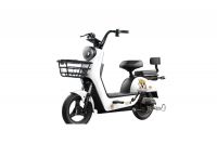 China Standard Electric Bicycle
