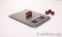 Camry Digital Kitchen Weight Scale with Stainless Steel Platform