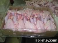 Halal Fresh and Frozen Chicken