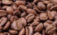 ROBUSTA COFFEE BEAN AT GOOD PRICE