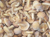 FROZEN MUSHROOMS AT GOOD PRICE