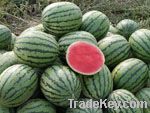 Watermelons