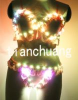 LED Luminous Lingerie Clothes