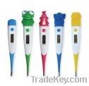 Digital Thermometer