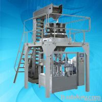 Automatic Rotary packing machine for solid/liquid/thick liquid/powder From China