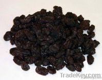 Thompson Seedless Raisins