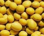 soybeans seeds for sale