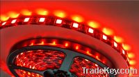 LED Strips SMD