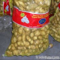 Chinese new crop fresh potato