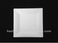 6 inch square plate of sugarcane bagasse pulp