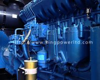 CE Approved 640KW Deutz  Generator Set With Robot Alternator