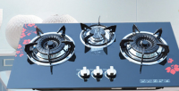 gas stove and hood