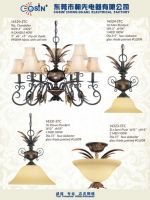 Chandelier & Pendant