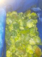 Egyptian IQF Frozen Broccoli