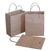 Printed Cheap Promotional Paper Shopping Bag with Satin Handles From China
